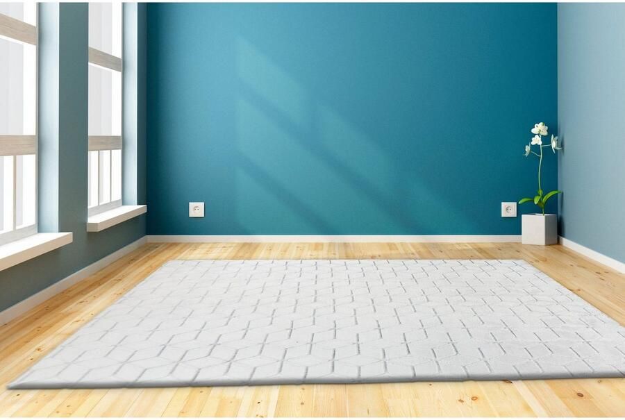 Calo-deluxe Vloerkleed Jardan-1000 bijzonder zacht door microvezel woonkamer - Foto 5