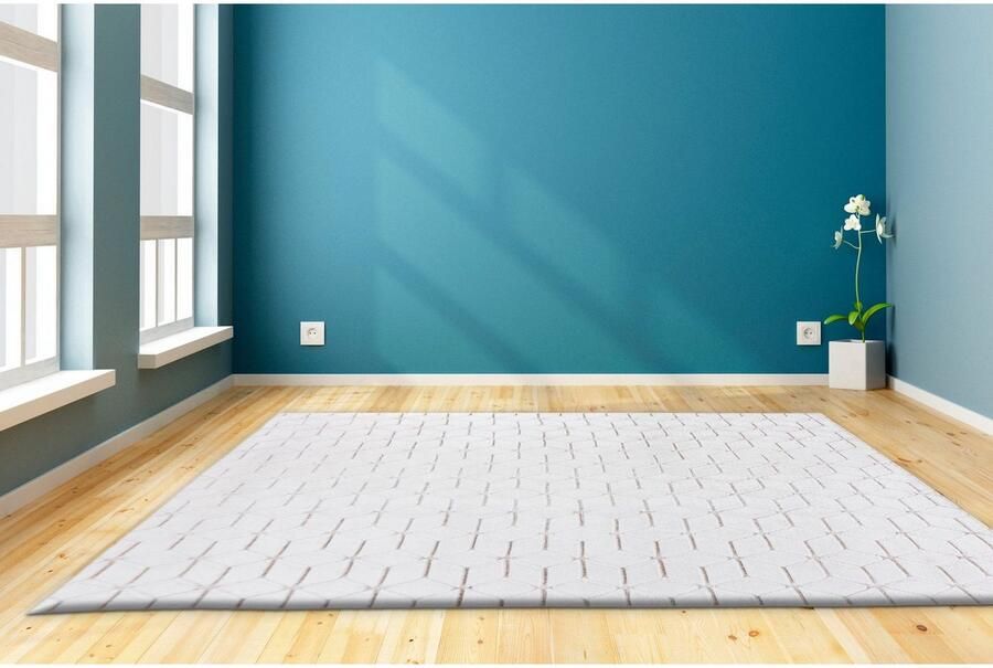 Calo-deluxe Vloerkleed Jardan-1000 bijzonder zacht door microvezel woonkamer - Foto 6