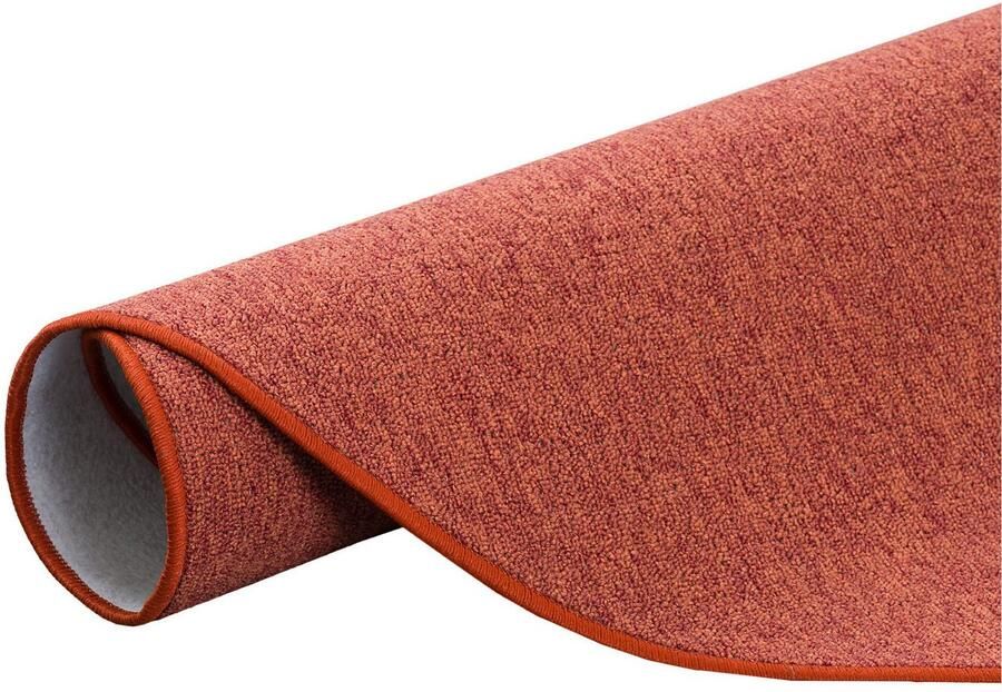 My home Vloerkleed Fortis sling Made in Netherlands Effen kleuren lussen geketteld slijtvast woonkamer - Foto 4