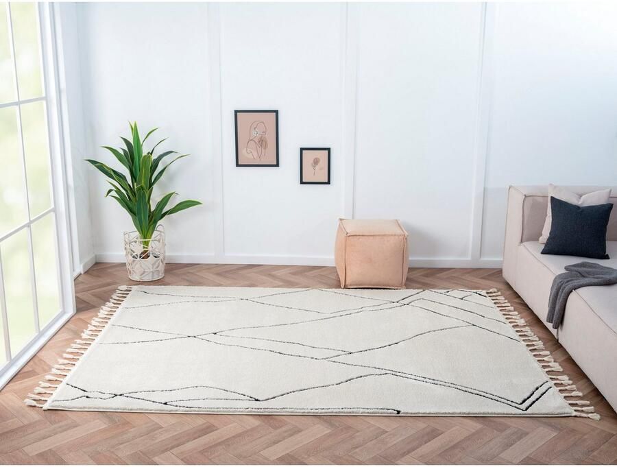 Myflair Möbel & Accessoires Hoogpolig vloerkleed Marokkaanse Tekenlijn MAGAZIJNOPRUIMING! modern marokkaans ontwerp fluffy zacht door hoogpolig - Foto 6