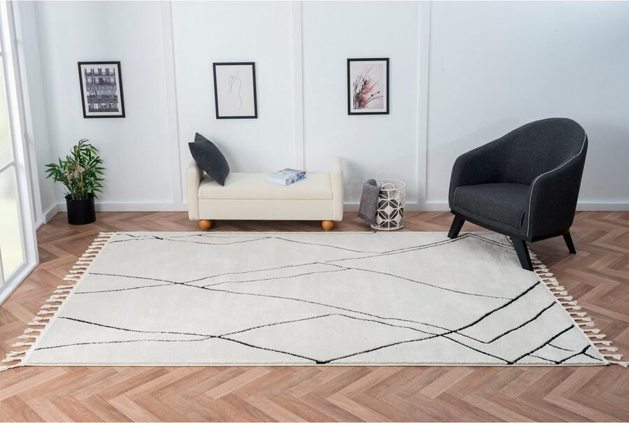 Myflair Möbel & Accessoires Hoogpolig vloerkleed Marokkaanse Tekenlijn MAGAZIJNOPRUIMING! modern marokkaans ontwerp fluffy zacht door hoogpolig - Foto 6