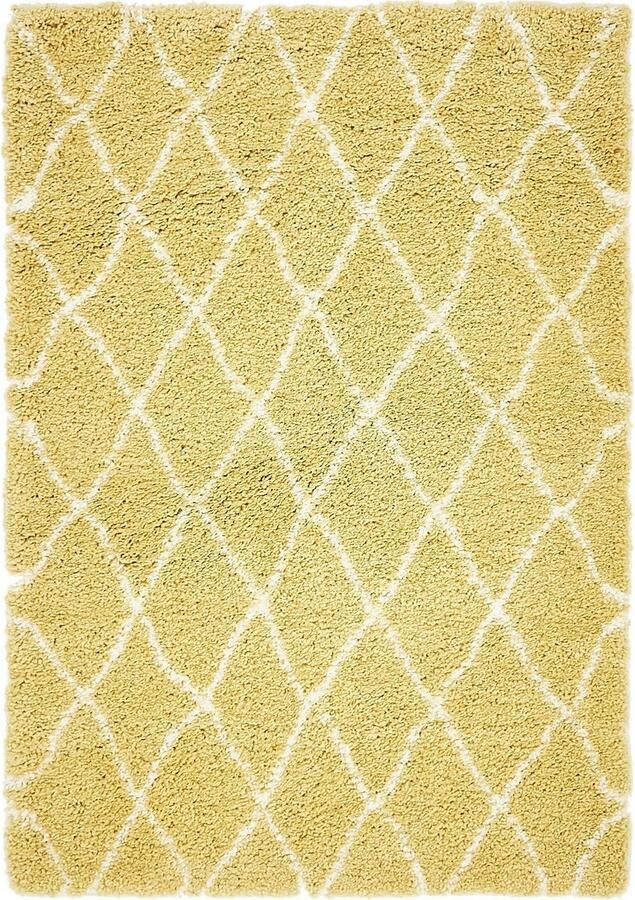 Myflair Möbel & Accessoires Hoogpolig vloerkleed Temara Shag MAGAZIJNOPRUIMING! geweven ruitendessin zacht & behaaglijk - Foto 6