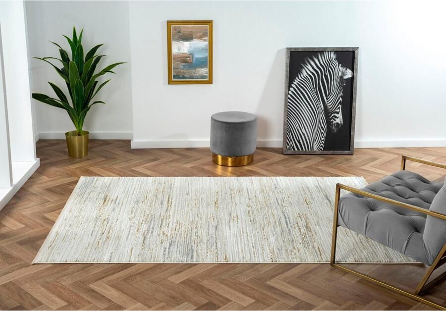 Myflair Möbel & Accessoires Vloerkleed My Passion Kortpolig retro-stijl bijzonder zacht door microvezel met franjes - Foto 8