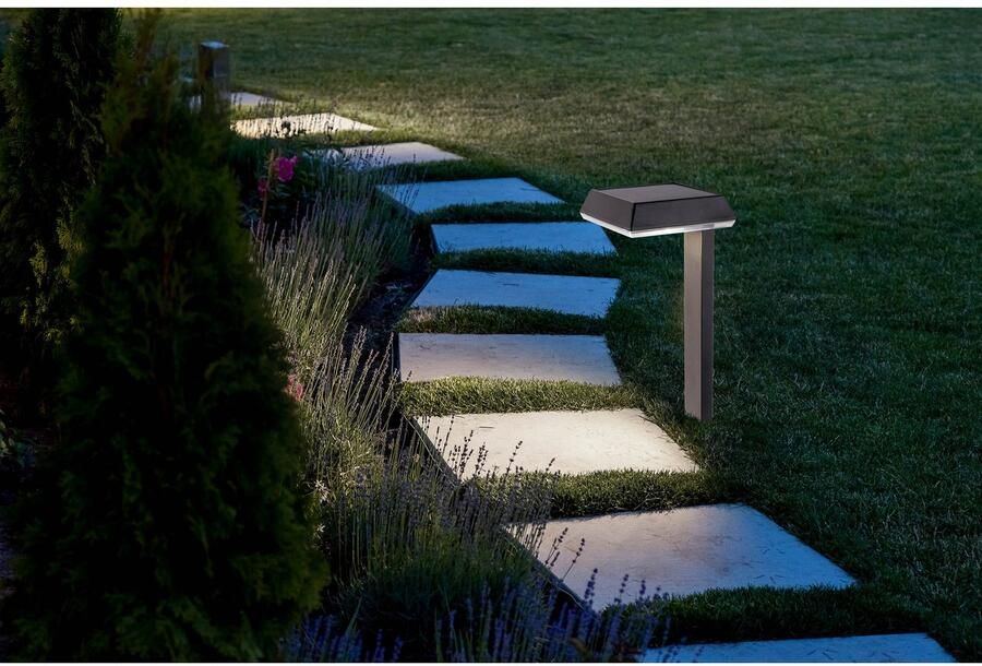 Näve Led-solarlamp Sigi Decoratieve grondspies H: 79cm schemersensor zwart LED warmwit (1 stuk)