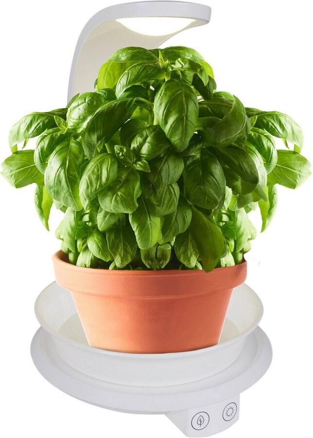 Näve Led-tafellamp Grow Light Groeilamp plantenlicht (paars) en neutraal wit USB-kabel (1 stuk) - Foto 3