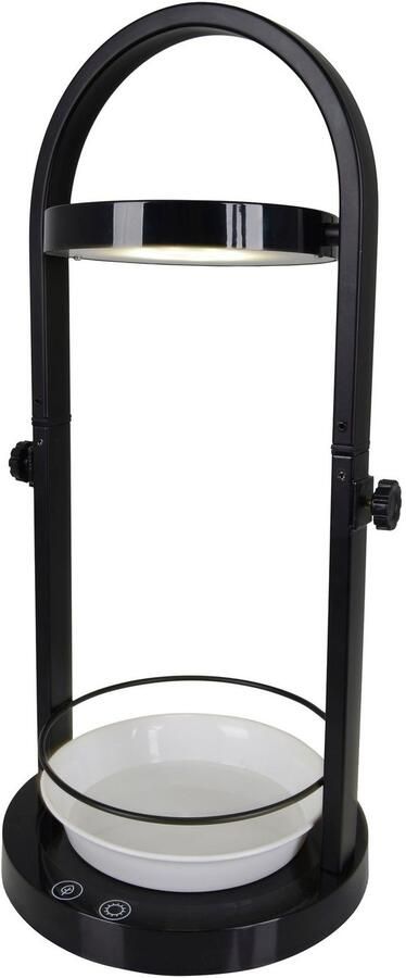 Näve Led-tafellamp Grow Light Groeilamp USB-kabel in hoogte verstelbaar zwart (1 stuk) - Foto 4