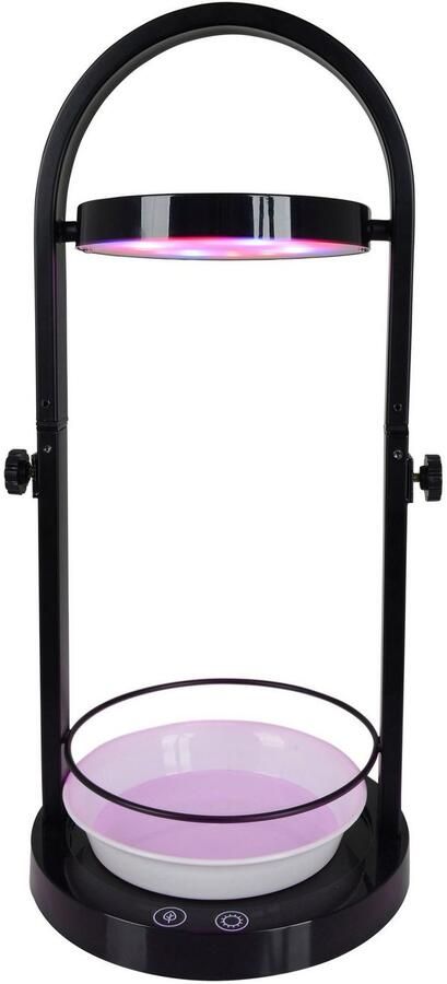 Näve Led-tafellamp Grow Light Groeilamp USB-kabel in hoogte verstelbaar zwart (1 stuk) - Foto 3