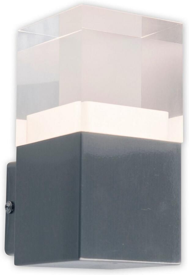 Näve Ledwandlamp voor buiten Leah Roestvrij staal kunststof in blank metaal opaal incl. 15x led warmwit IP44 (1 stuk) - Foto 3