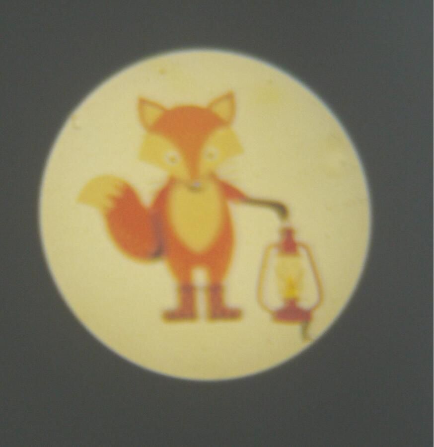 Niermann Lednachtlampje Bosdieren Set dieren in het bos 2 (1 x stekker-nachtlicht 1 x draagbare beamer) (1 stuk) - Foto 3