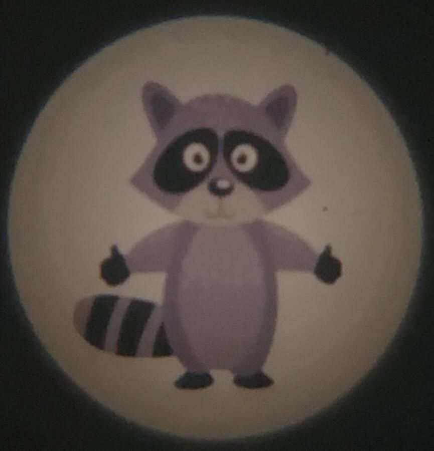 Niermann Lednachtlampje Bosdieren Set dieren in het bos 2 (1 x stekker-nachtlicht 1 x draagbare beamer) (1 stuk) - Foto 4