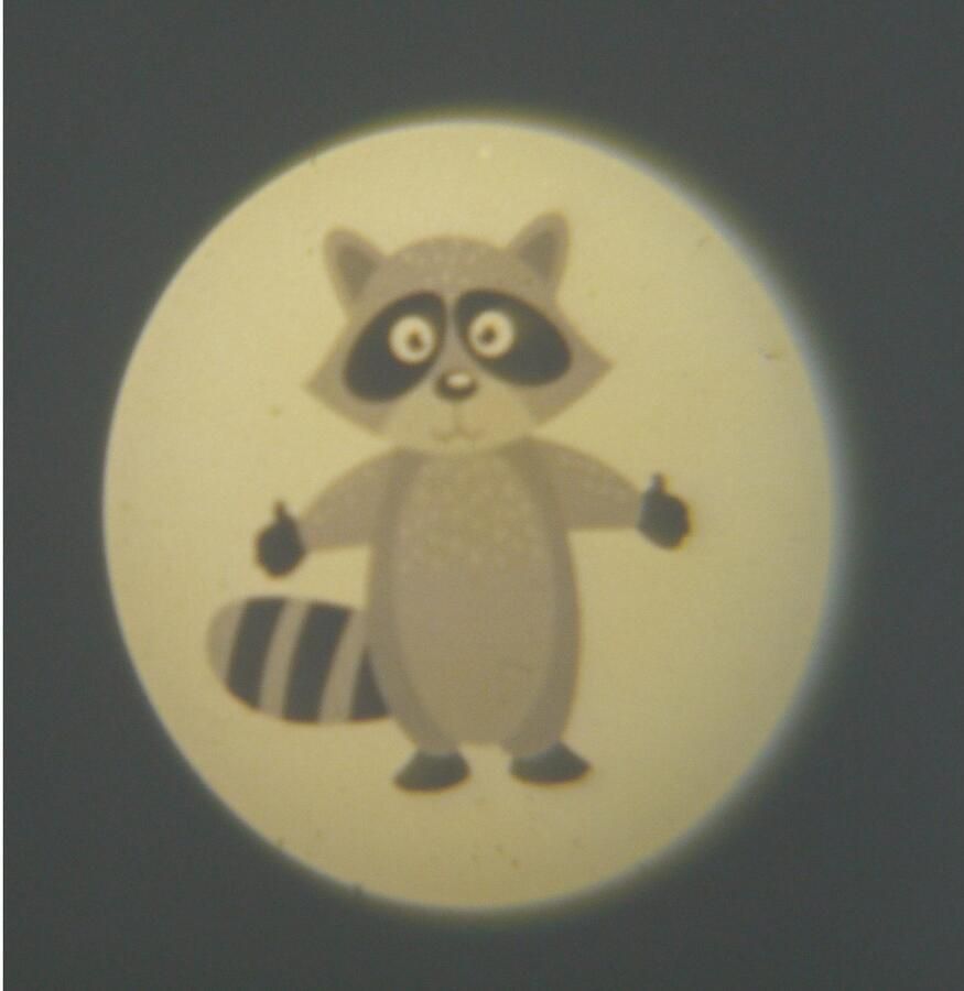 Niermann Lednachtlampje Bosdieren Set dieren in het bos 2 (1 x stekker-nachtlicht 1 x draagbare beamer) (1 stuk) - Foto 2