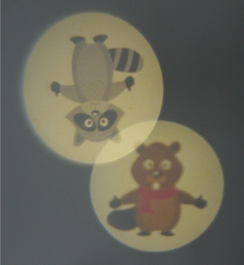 Niermann Lednachtlampje Bosdieren Set dieren in het bos 2 (1 x stekker-nachtlicht 1 x draagbare beamer) (1 stuk) - Foto 11