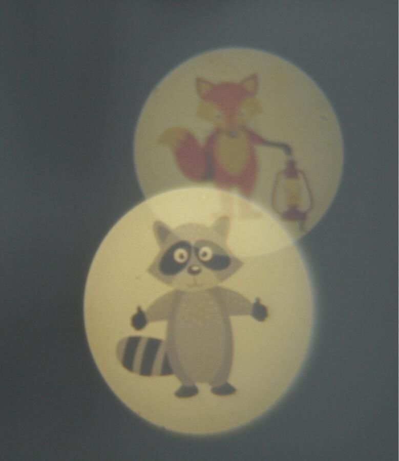 Niermann Lednachtlampje Bosdieren Set dieren in het bos 2 (1 x stekker-nachtlicht 1 x draagbare beamer) (1 stuk) - Foto 16