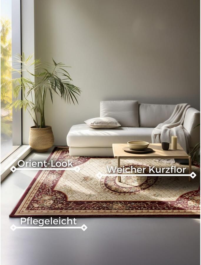 NORTHRUGS Vloerkleed Adraskan Orient look loper slijtvast onderhoudsvriendelijk robuust - Foto 6