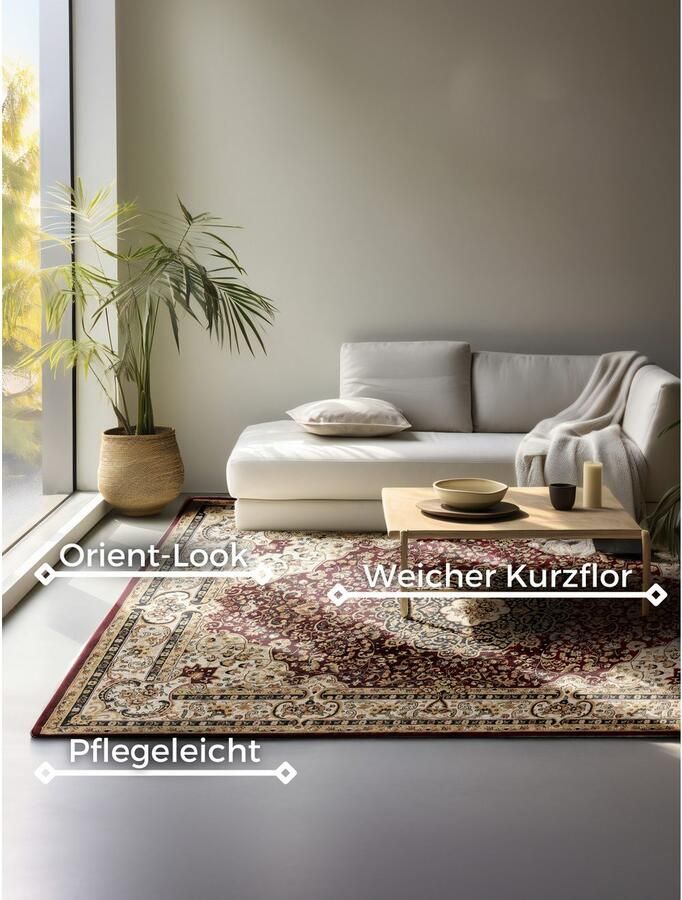 NOURISTAN Vloerkleed Ghorian Orient look slijtvast onderhoudsvriendelijk robuust - Foto 6