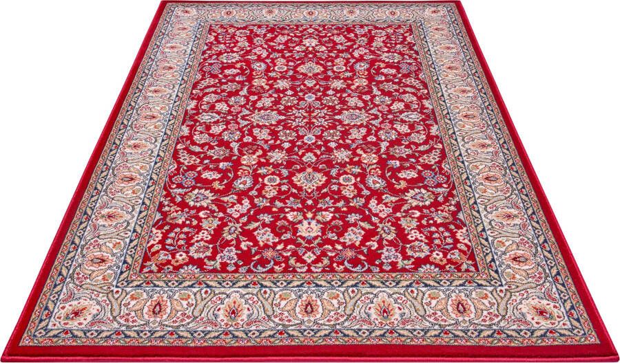 NOURISTAN Vloerkleed Aljars Korte pool oriënt look vintage-design robuust gemakkelijk in onderhoud afgehecht - Foto 4