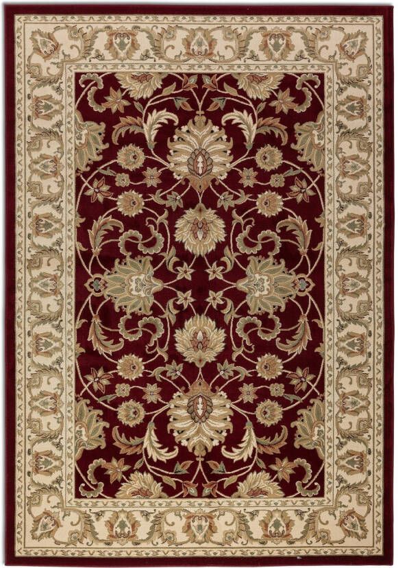 HANSE Home Vloerkleed Harirud Orient look slijtvast onderhoudsvriendelijk robuust