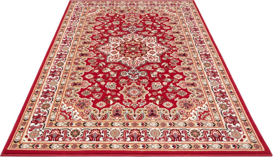 Nouristan Perzisch tapijt Parun Täbriz rood 120x170 cm