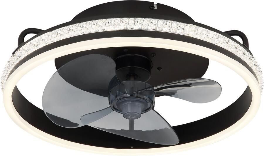 OTTO Globo Lightning Plafondlamp Cataleya Plafondventilator metaal zwart mat LED (1 stuk) - Foto 2