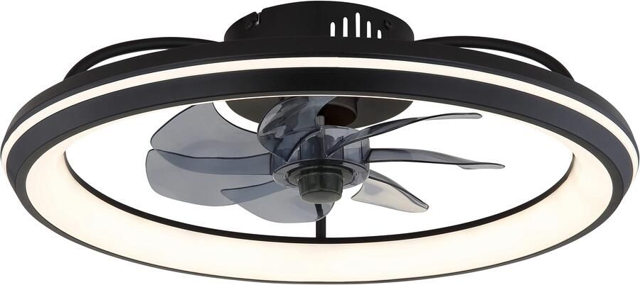 OTTO Globo Lightning Plafondlamp CELESTE Mat zwart metaal koudwit neutraalwit warmwit plafondlamp (1 stuk) - Foto 2