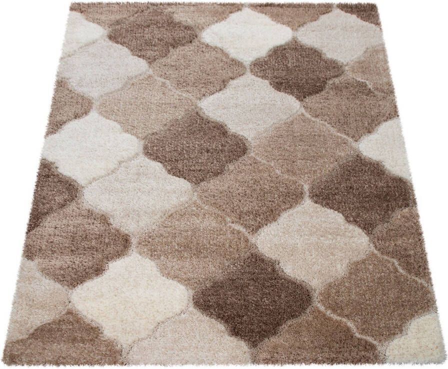 Paco Home Hoogpolig vloerkleed Ponto 828 Ornamenten heerlijk zacht ideaal in de woonkamer & slaapkamer