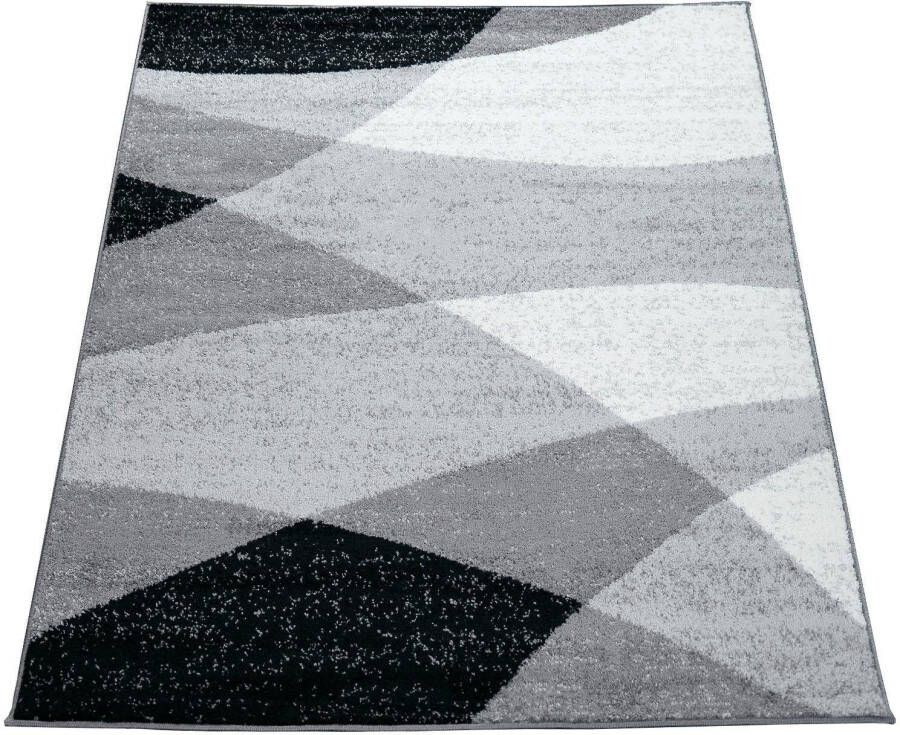 Paco Home Vloerkleed Woonkamer Laagpolig Patroon Abstract Patroon Geometrisch Gegolfd 80x250 cm - Foto 4