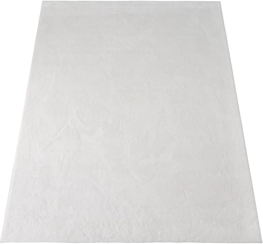 Paco Home Vachtvloerkleed Imitatiebont Soft 380 Lange pool heerlijk zacht vloerkleed bijzonder zacht unikleuren - Foto 6