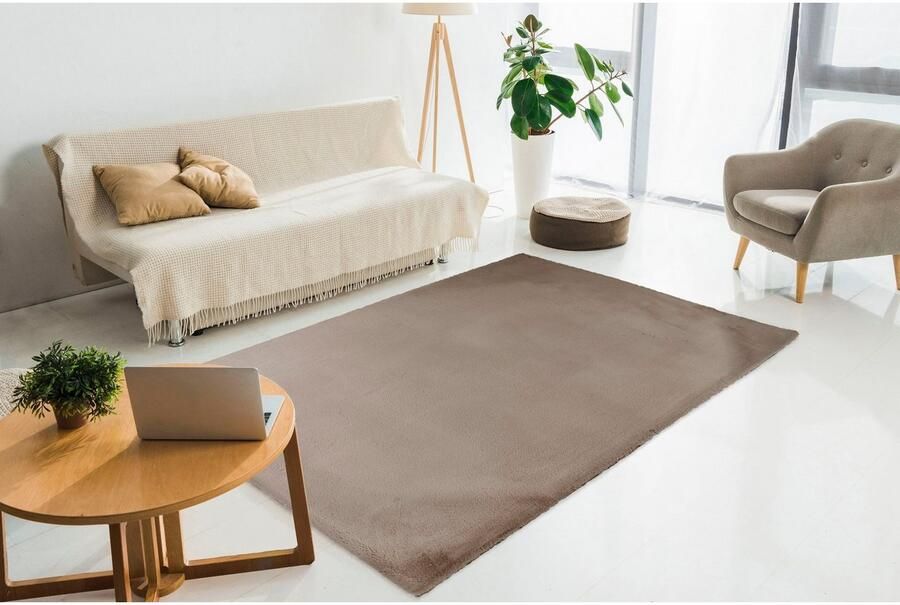 Padiro Vloerkleed Rabbit Light 525 - Foto 1