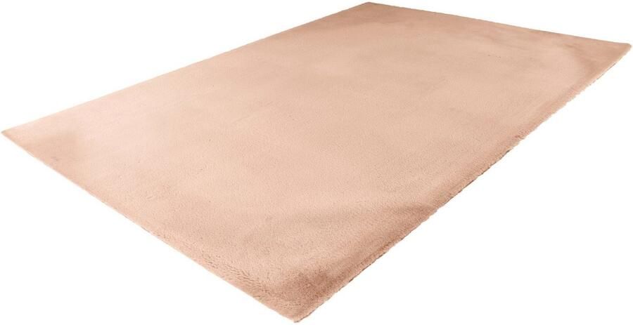 Padiro Vloerkleed Rabbit Light 525 - Foto 5