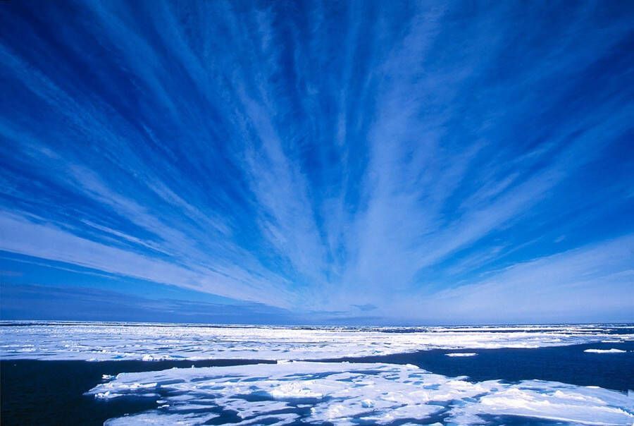 Papermoon Fotobehang Arctische hemel Vliesbehang eersteklas digitale print - Foto 1