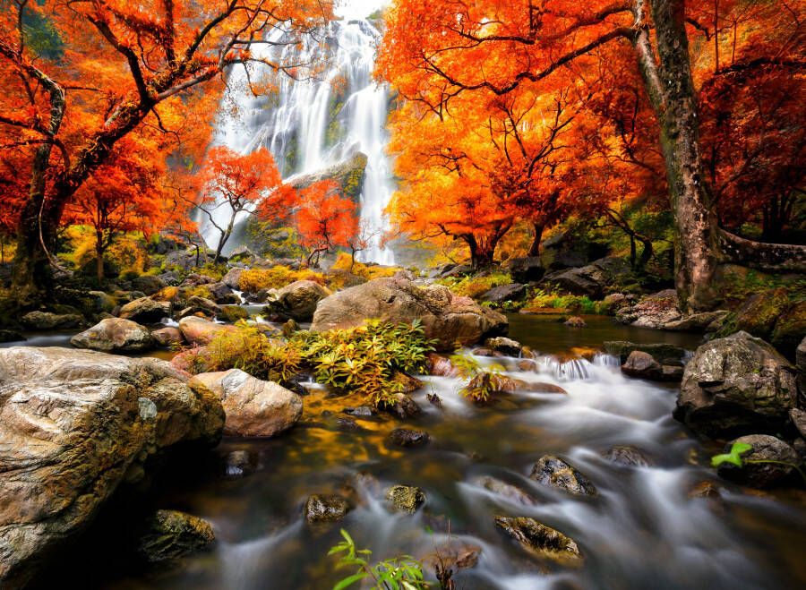 Papermoon Fotobehang Autumn Waterfall - Foto 1
