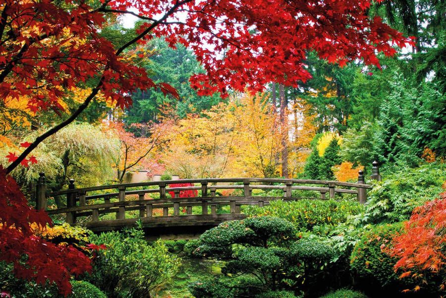 Papermoon Fotobehang Bridge in Japanese Garden - Foto 1