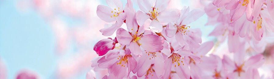 Papermoon Fotobehang Cherry Blossom panorama Vlies 2 banen 350 x 100 cm (2-delig) - Foto 2