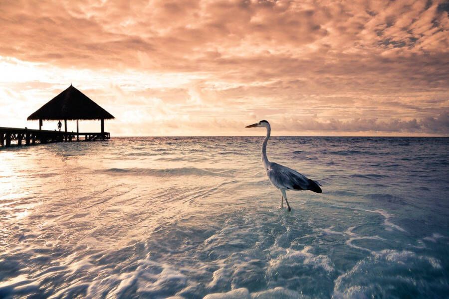 Papermoon Fotobehang Flamingo tropical beach Vliesbehang eersteklas digitale print - Foto 2