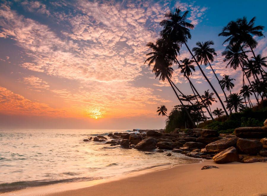 Papermoon Fotobehang Palm Beach Sri Lanka - Foto 1