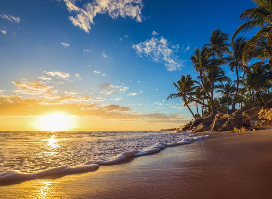 Papermoon Fotobehang Tropical in BEACH SUNRISE - Foto 1