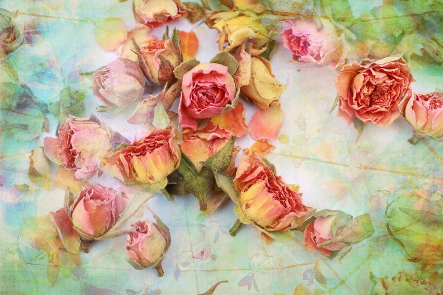 Papermoon Fotobehang Vintage rozen Vliesbehang eersteklas digitale print - Foto 1