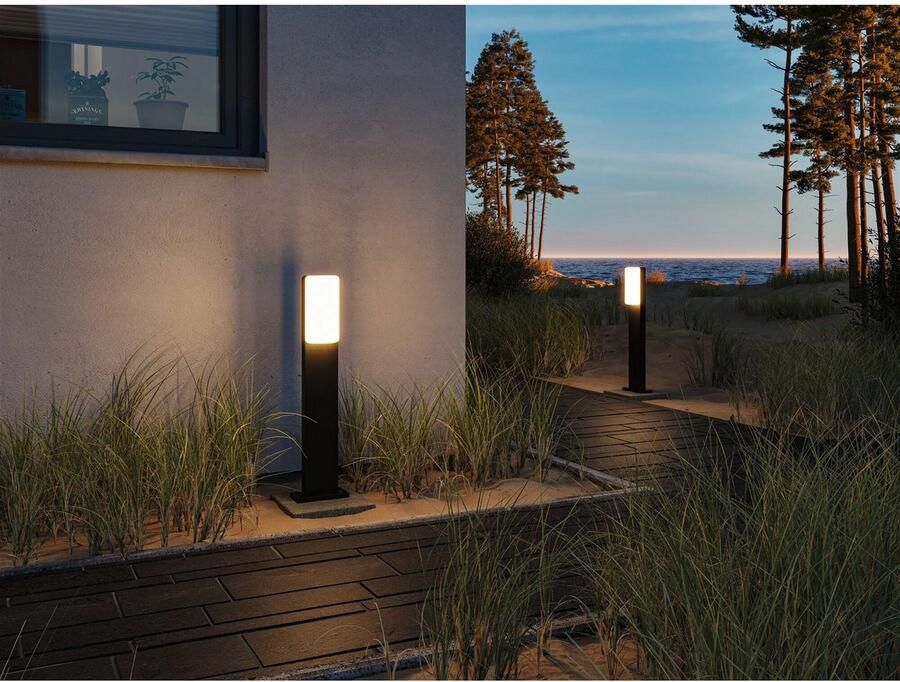 Paulmann Led-bolderlamp Bonnie IP44 600mm 3000K 8 5W 560lm 230V antraciet aluminium (1 stuk)