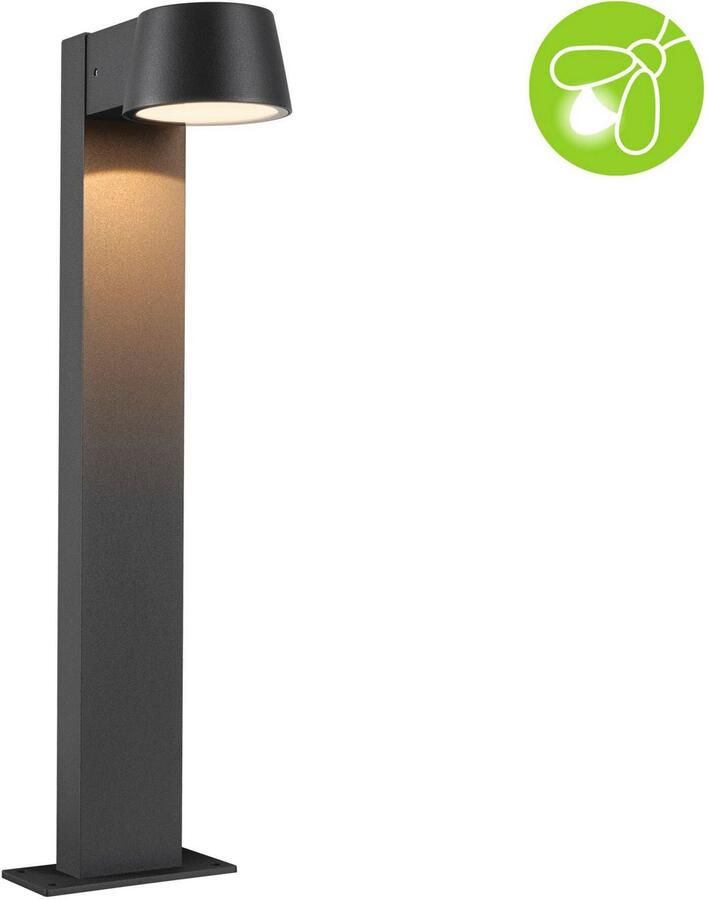Paulmann Led-bolderlamp Buiten 230V Capea Aluminium Antraciet Insect friendly (1 stuk) - Foto 2