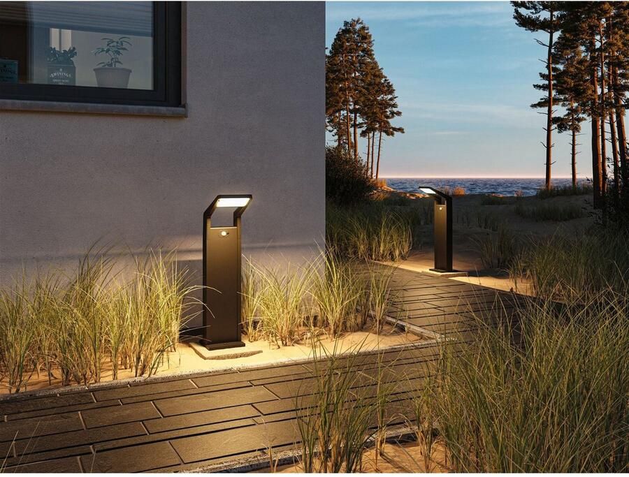 Paulmann Led-bolderlamp Juntea IP44 585mm 3000K 11W 900lm 230V Antraciet Aluminium (1 stuk) - Foto 2
