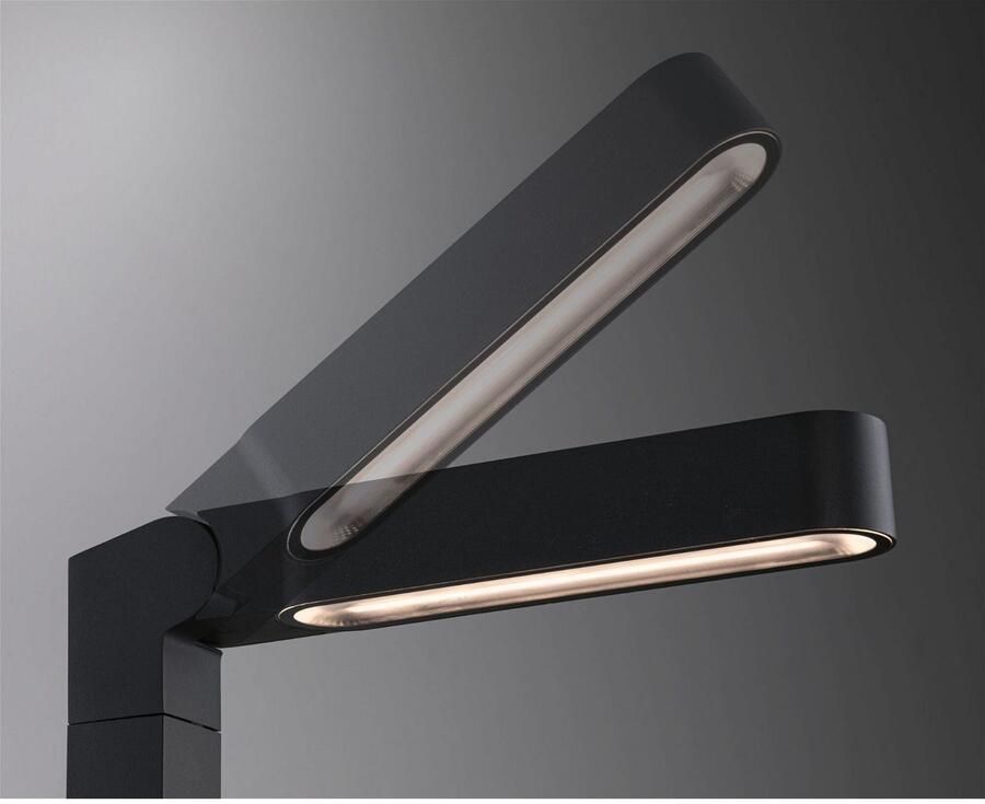 Paulmann Led-bolderlamp Plug & Shine Ito IP65 3000K 6W Antraciet (1 stuk)