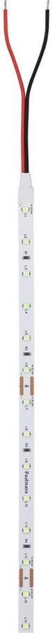 Paulmann Led-strepen Pro Strip Silver P25 5m ijsblauw IP20 24V DC 20W (1 stuk) - Foto 5