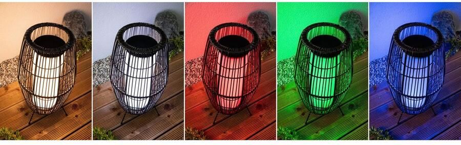 Paulmann Led-tuinverlichting Buiten Plug & Shine Basket 40 RGBW ZigBee IP44 (1 stuk) - Foto 6