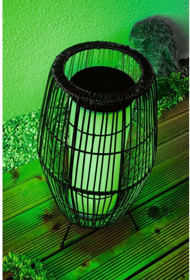 Paulmann Led-tuinverlichting Buiten Plug & Shine Basket 40 RGBW ZigBee IP44 (1 stuk) - Foto 5