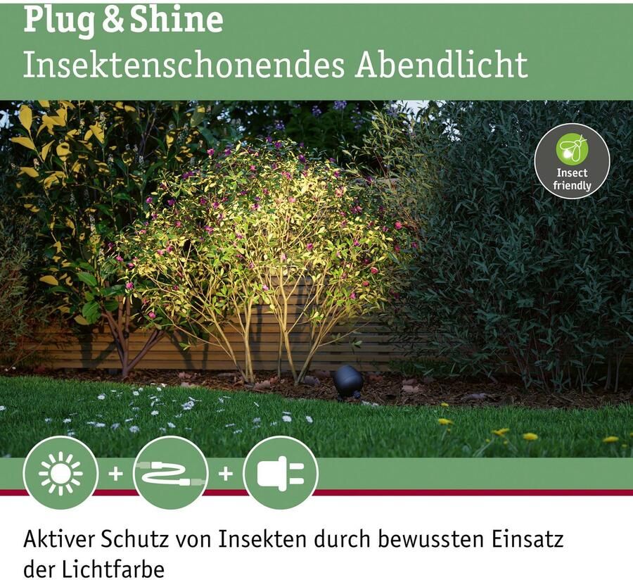 Paulmann Led-tuinverlichting Buiten Plug & Shine Spot Kikolo Insect friendly ZigBee (1 stuk) - Foto 3