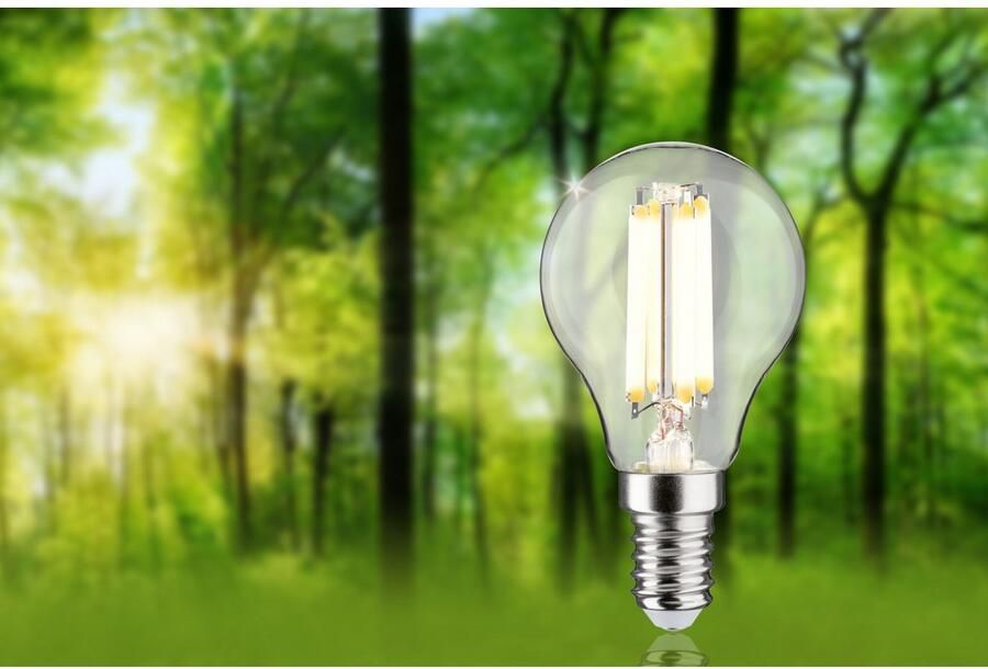Paulmann Led-verlichting Eco-Line filament 230V LED druppel E14 1-set 525lm 2 5W 3000K helder (1 stuk)