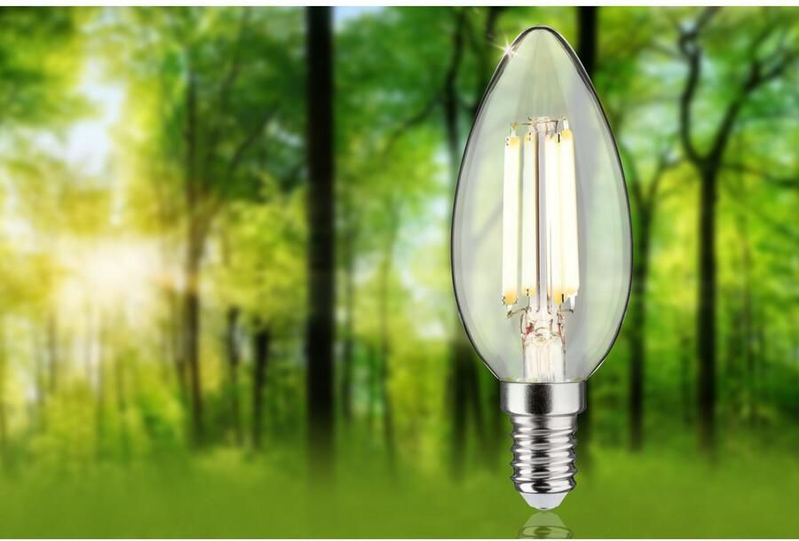 Paulmann Led-verlichting Eco-Line filament 230V LED kaars E14 1-set 525lm 2 5W 3000K helder (1 stuk) - Foto 4