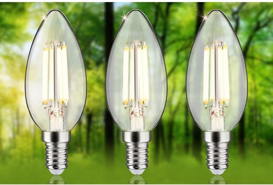 Paulmann Led-verlichting Eco-Line filament 230V LED kaars E14 3-pack 525lm 2 5W 3000K helder (3 stuks) - Foto 5