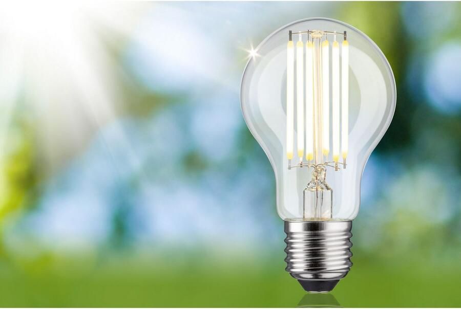 Paulmann Led-verlichting Eco-Line filament 230V LED lamp E27 1-set 1055lm 5W 3000K helder (1 stuk) - Foto 7