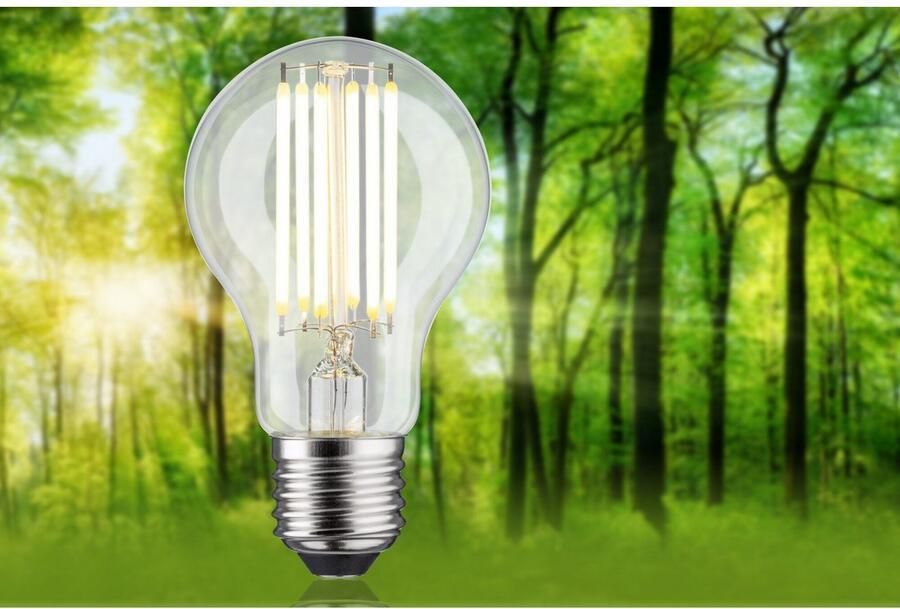 Paulmann Led-verlichting Eco-Line filament 230V LED lamp E27 1-set 1521lm 7 2W 3000K helder (1 stuk)